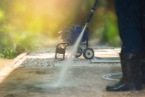 Best Animal Enclosure Cleaning  in Chico, TX